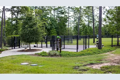 542 Carina Gaze Drive, Conroe, TX 77318 - Photo 38