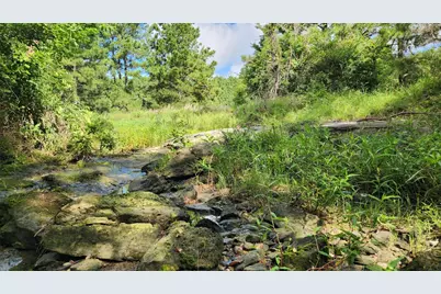 Tbd Walker Ln Lane, Huntsville, TX 77320 - Photo 32
