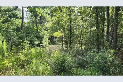 Tbd Walker Ln Lane, Huntsville, TX 77320 - Photo 34