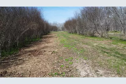 550 Peach Ridge Road, Brookshire, TX 77423 - Photo 14