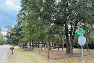 17503 Heaton Ct, Magnolia, TX 77355 - Photo 2