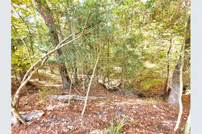 349 Beechwood Drive, Trinity, TX 75862 - Photo 16