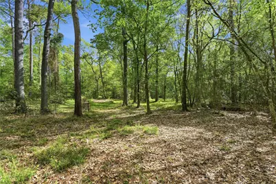 19909 Big Oak Drive, Montgomery, TX 77356 - Photo 2