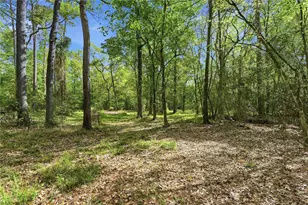 19909 Big Oak Dr, Montgomery, TX 77356 - Photo 2