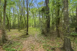 19909 Big Oak Dr, Montgomery, TX 77356 - Photo 30