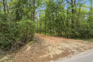 19909 Big Oak Dr, Montgomery, TX 77356 - Photo 38