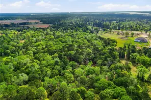 19909 Big Oak Dr, Montgomery, TX 77356 - Photo 6