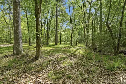 19909 Big Oak Drive, Montgomery, TX 77356 - Photo 46