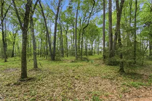 19909 Big Oak Dr, Montgomery, TX 77356 - Photo 40