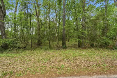19909 Big Oak Drive, Montgomery, TX 77356 - Photo 48