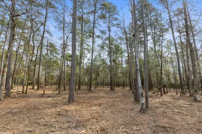 15880 Four Hills Road, Willis, TX 77378 - Photo 4