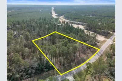 15880 Four Hills Road, Willis, TX 77378 - Photo 6