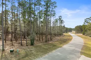 15880 Four Hls Rd, Willis, TX 77378 - Photo 1