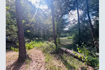 702 County Road 2339, Dayton, TX 77535 - Photo 8