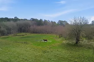 17988 Fm 787 Road W, Cleveland, TX 77327 - Photo 4