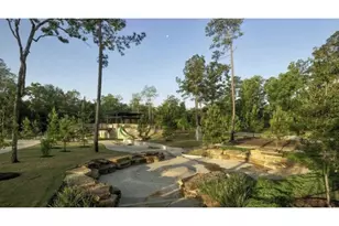 323 Calmato Woods Way, Willis, TX 77318 - Photo 48