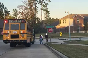 13918 Nicolet Arbor Ln, Conroe, TX 77384 - Photo 40