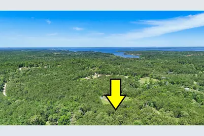 00 Grey Fox Ln, Brookeland, TX 75931 - Photo 10