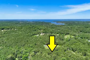 00 Grey Fox Ln, Brookeland, TX 75931 - Photo 10