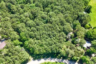 00 Grey Fox Ln, Brookeland, TX 75931 - Photo 4