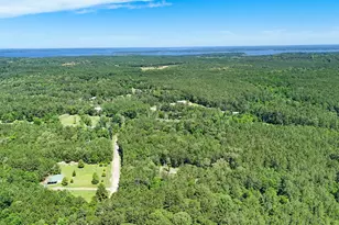 00 Grey Fox Ln, Brookeland, TX 75931 - Photo 12