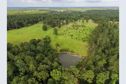 5345 Deep Forest Trail, Navasota, TX 77868 - Photo 44