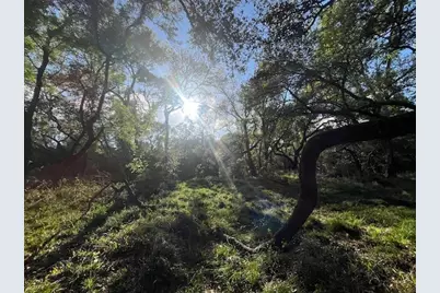 1600 County Road 121, Garwood, TX 77460 - Photo 16