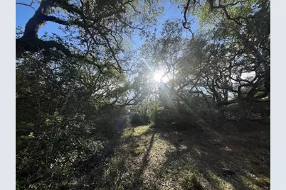 1600 County Road 121, Garwood, TX 77460 - Photo 14