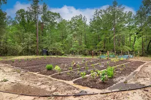 Tbd Saratoga Woods Dr, Montgomery, TX 77316 - Photo 12