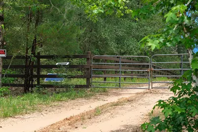 Tbd Saratoga Woods Drive, Montgomery, TX 77316 - Photo 4