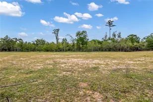 27527 Tepee Trail, Hockley, TX 77447 - Photo 48