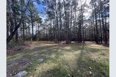 4542 Evergreen Forest Lane, Navasota, TX 77868 - Photo 42