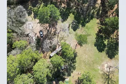 4542 Evergreen Forest Lane, Navasota, TX 77868 - Photo 12