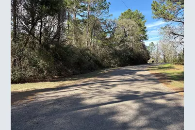 4542 Evergreen Forest Lane, Navasota, TX 77868 - Photo 46