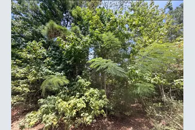 .44 Ac Fm 3414, Jasper, TX 75951 - Photo 2