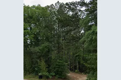 .44 Ac Fm 3414, Jasper, TX 75951 - Photo 4