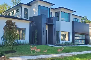 66 Flamingo Landing Dr, Missouri City, TX 77459 - Photo 50