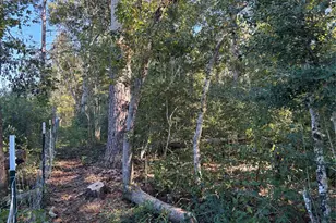 0 L C Herschap Ln, Livingston, TX 77351 - Photo 1