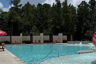 16007 Tangled Vine Ln, Conroe, TX 77302 - Photo 2