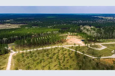 219 Big Buck Drive, Moscow, TX 75960 - Photo 4