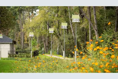 501 Audubons Shearwater Way, Magnolia, TX 77354 - Photo 20