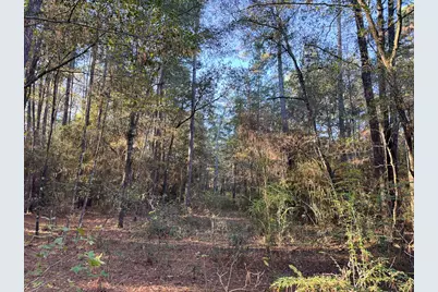 156 Lessa Lane, Huntsville, TX 77340 - Photo 10