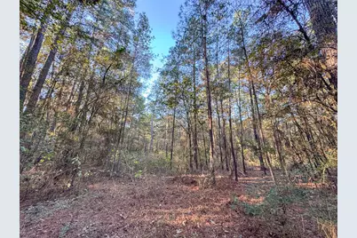 156 Lessa Lane, Huntsville, TX 77340 - Photo 14