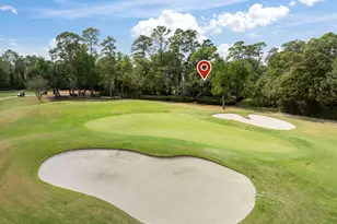 10 Mill Point Pl, The Woodlands, TX 77380 - Photo 30