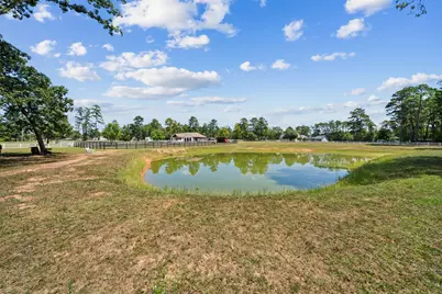 46509 McGill Road, Plantersville, TX 77363 - Photo 34