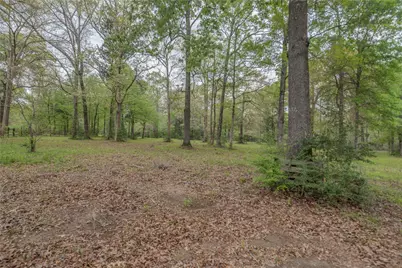 Tbd Firetower Road, New Caney, TX 77357 - Photo 8