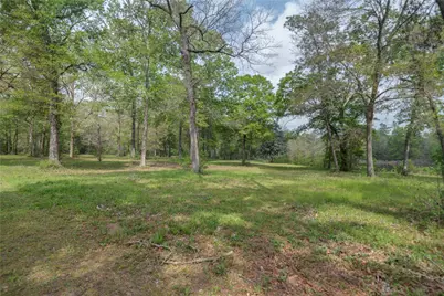 Tbd Firetower Road, New Caney, TX 77357 - Photo 4