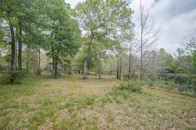 Tbd Firetower Road, New Caney, TX 77357 - Photo 6