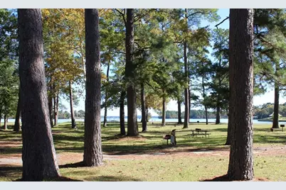 51 Wood Harbor, Trinity, TX 75862 - Photo 10