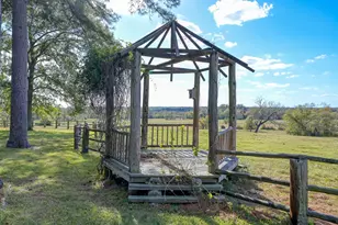 200 Acres Spring Branch Rd, Montgomery, TX 77316 - Photo 14